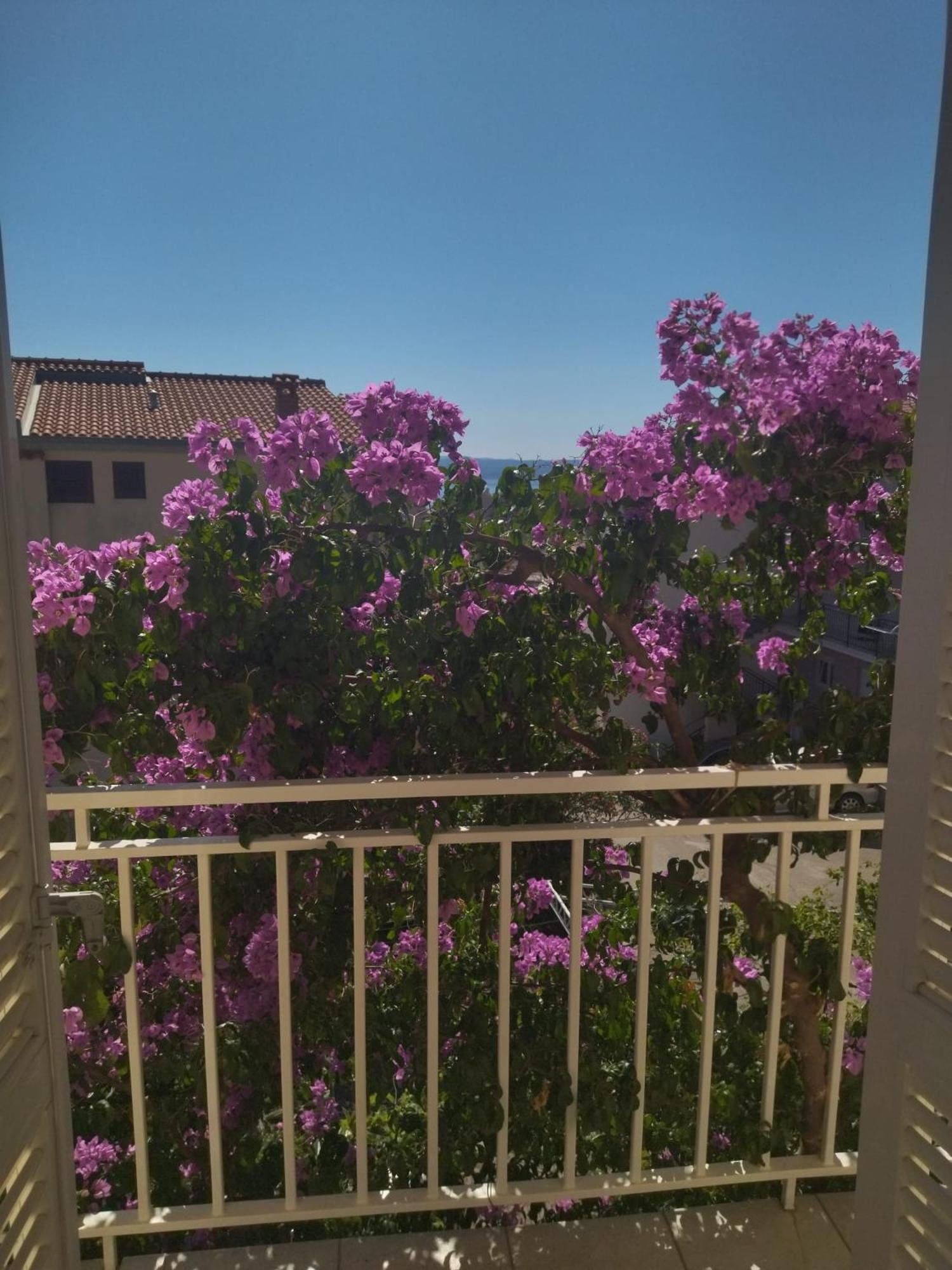 Apartmani Makarska Bagian luar foto